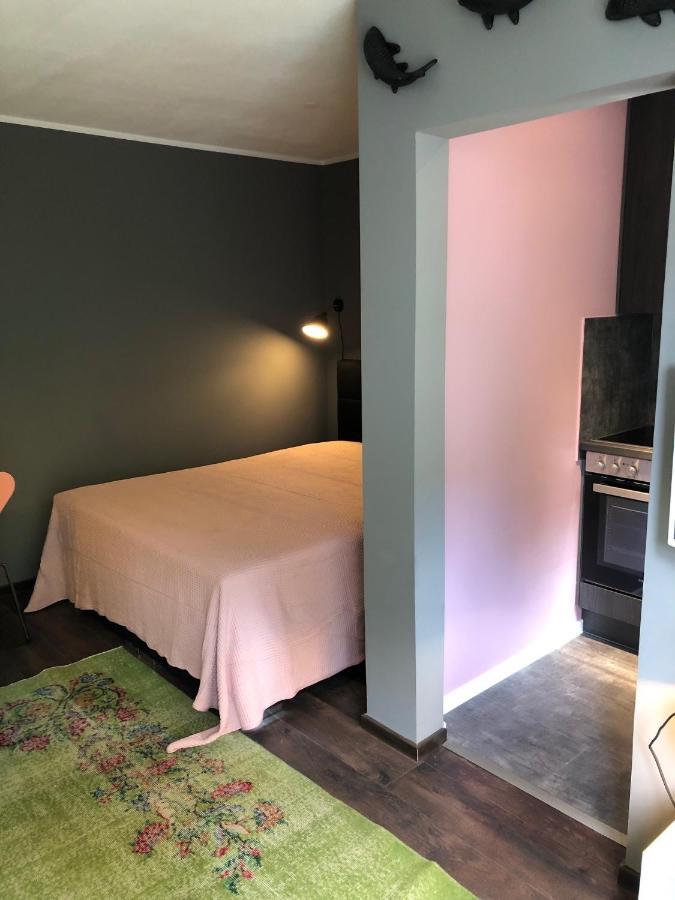 Studio Apartment In Dresden-Neustadt エクステリア 写真